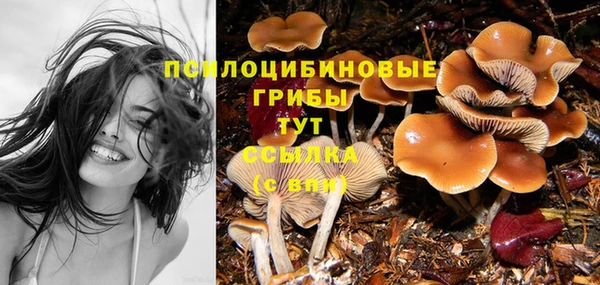 гидропоника Сафоново