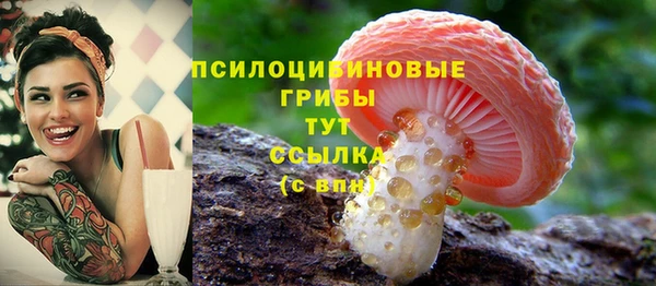 мяу мяу мука Саяногорск