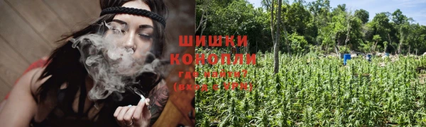гидропоника Сафоново