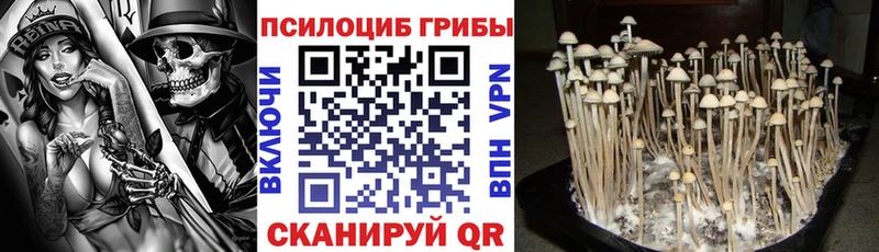 Галлюциногенные грибы MAGIC MUSHROOMS Томилино